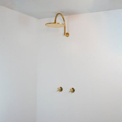 Rainfall Brass Shower System With Victorian Arm